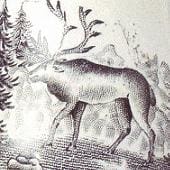 Arabia koristekuvio Poro