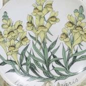 Arabia koristekuvio Botanica