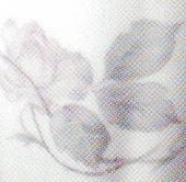 Arabia koristekuvio Jääruusu