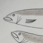 Arabia koristekuvio Kala