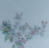 Arabia koristekuvio Omenakukka