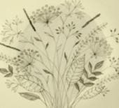 Arabia koristekuvio Telma