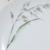 Arabia koristekuvio Heinä