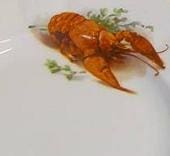 Arabia koristekuvio Rapu