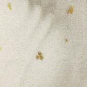 Arabia koristekuvio Apila II