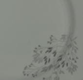 Arabia koristekuvio Heinä II