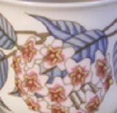 Arabia koristekuvio Arctica Posliinikukka