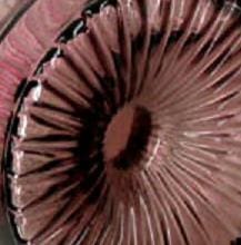 punaharmaa Aurinkopullo, Helena Tynell, Riihimäen lasi