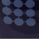 Esteri Tomula Domino