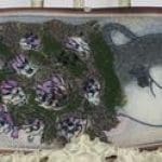 Heljä Liukko-Sundström Apila