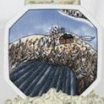 Heljä Liukko-Sundström Ruska