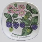 Arabia Botanica Suomuurain Lakka koristelautanen, suunnittelija Esteri Tomula