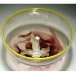 Kerttu Nurminen 2506