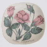 Arabia Botanica Suomuurain Lakka koristelautanen, suunnittelija Esteri Tomula