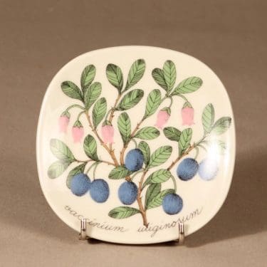 Arabia Botanica seinälautanen, Juolukka, suunnittelija Esteri Tomula, Juolukka