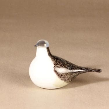 Nuutajärvi lintu , Västäräkki yrityslintu