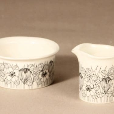 Krokus sokerikko ja kermakko suunnittelija Esteri Tomula