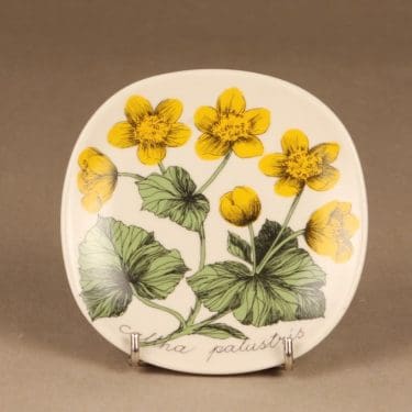 Arabia Botanica seinälautanen, Rentukka, suunnittelija Esteri Tomula, Rentukka