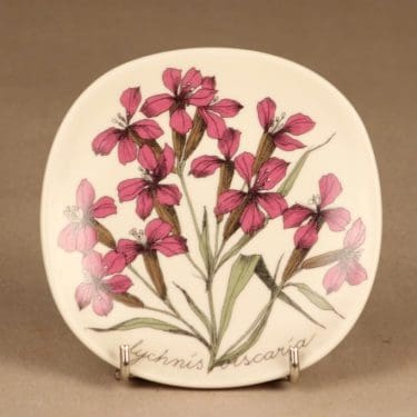 Arabia Botanica seinälautanen, Mäkitervakko, suunnittelija Esteri Tomula, Mäkitervakko, kukka