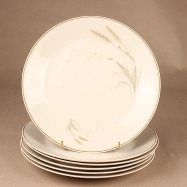 Arabia Tähkä dinner plate 6 pcs designer Raija Uosikkinen