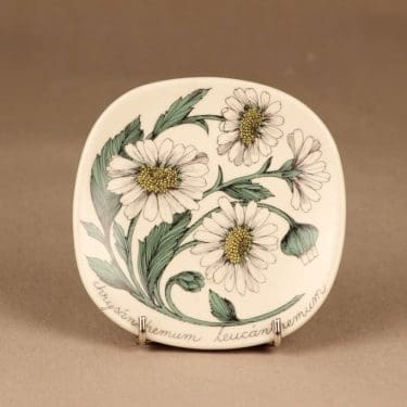 Arabia Botanica koristelautanen, Päivänkakkara, suunnittelija Esteri Tomula, Päivänkakkara, kukka, chrysanthemum leucanhemum