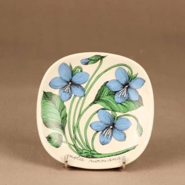 Arabia Botanica koristelautanen, Metsäorvokki, suunnittelija Esteri Tomula, Metsäorvokki, kukka, viola riviniana