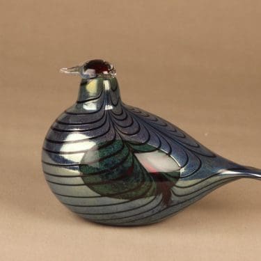 Nuutajärvi lintu , Fasaani, suunnittelija , Fasaani