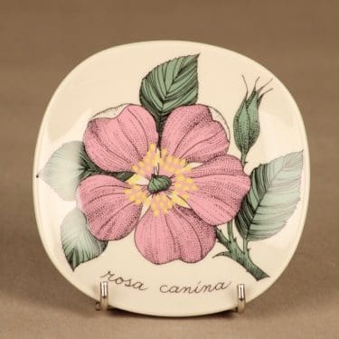 Arabia Botanica seinälautanen, Rosa Canina, suunnittelija Esteri Tomula, Rosa Canina, ruusu