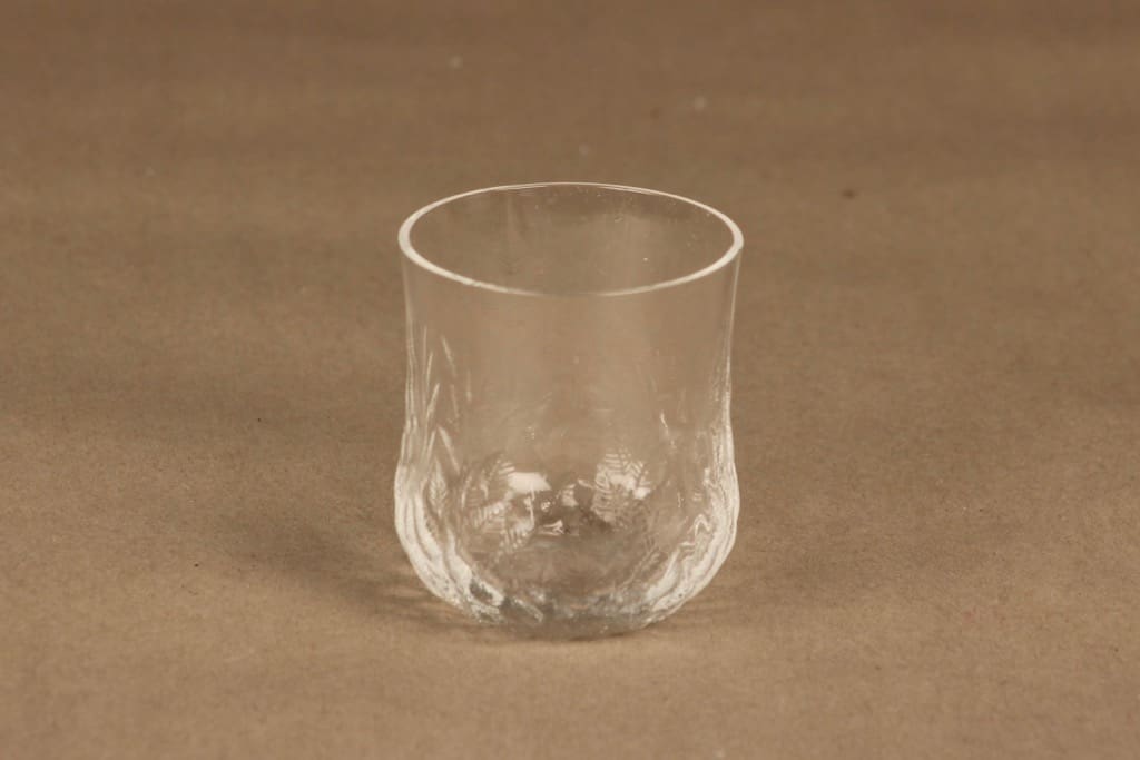 Iittala Koivu lasi, 15 cl, 4 kpl, suunnittelija Jorma Vennola, 15 cl kuva 2