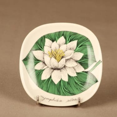 Arabia Botanica seinälautanen, Valkolumme, suunnittelija Esteri Tomula, Valkolumme, Nymphaea alba