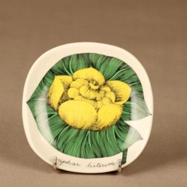 Arabia Botanica seinälautanen, Isoulpukka, suunnittelija Esteri Tomula, Isoulpukka, Nuphar luteum