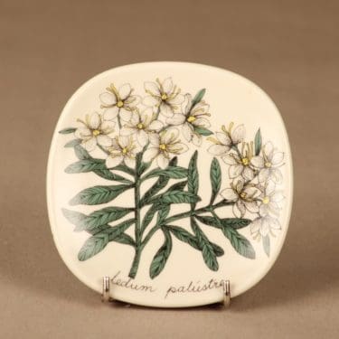 Arabia Botanica seinälautanen, Suopursu, suunnittelija Esteri Tomula, Suopursu, Ledum palustre