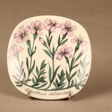 Arabia Botanica seinälautanen, Ketoneilikka, suunnittelija Esteri Tomula, Ketoneilikka, Dianthus deltoides