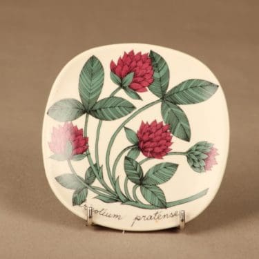 Arabia Botanica seinälautanen, Puna-apila, suunnittelija Esteri Tomula, Puna-apila, Trifolium pratense