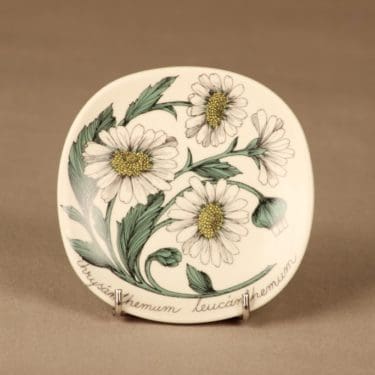 Arabia Botanica seinälautanen, Päivänkakkara, suunnittelija Esteri Tomula, Päivänkakkara, Chrysanthemum leucanhemum