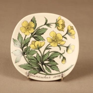 Arabia Botanica seinälautanen, Niittyleinikki, suunnittelija Esteri Tomula, Niittyleinikki, Ranunculus acer