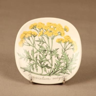 Arabia Botanica seinälautanen, Pietaryrtti, suunnittelija Esteri Tomula, Pietaryrtti, Tanacetum vulgare