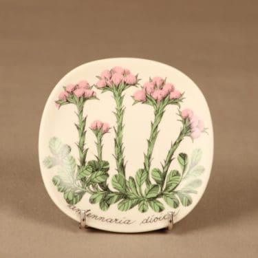 Arabia Botanica seinälautanen, Kissankäpälä, suunnittelija Esteri Tomula, Kissankäpälä, Antennaria dioica