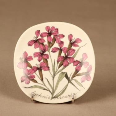 Arabia Botanica seinälautanen, Mäkitervakko, suunnittelija Esteri Tomula, Mäkitervakko, Lychnis viscaria