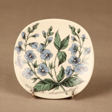 Arabia Botanica seinälautanen, Nurmitädyke, suunnittelija Esteri Tomula, Nurmitädyke, Veronica chamaedrys