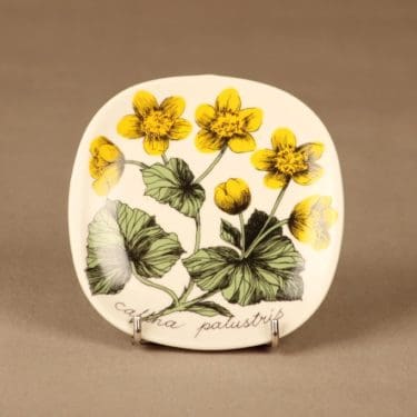 Arabia Botanica seinälautanen, Rentukka, suunnittelija Esteri Tomula, Rentukka, Caltha palustris