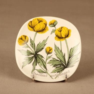 Arabia Botanica seinälautanen, Kullero, suunnittelija Esteri Tomula, Kullero, Trollius europaeus