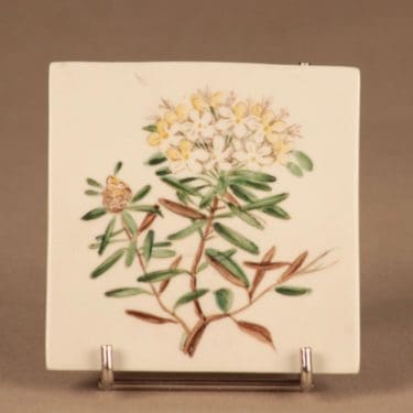 Arabia Suopursu koristelaatta, Ledum Palustre, suunnittelija Svea Granlund, Ledum Palustre, käsinmaalattu, kukka