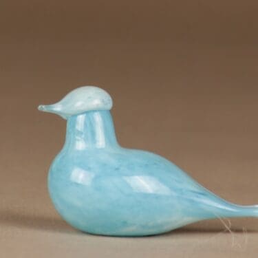 Nuutajärvi lintu Hippiäinen