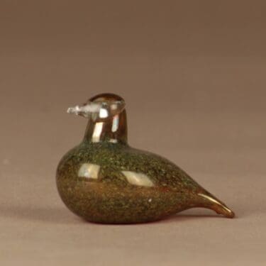 Nuutajärvi lintu Hippiäinen