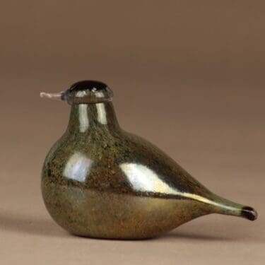 Nuutajärvi lintu Tirri, vihertävä