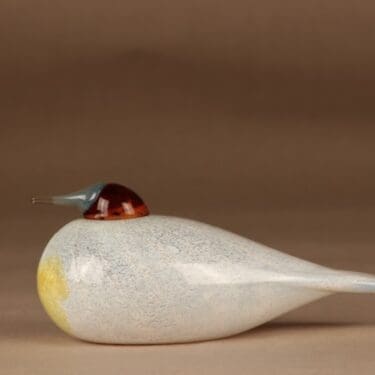 Nuutajärvi vuosilintu SSKK 2010 Latohaapana