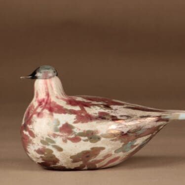 Nuutajärvi vuosilintu Cucunor