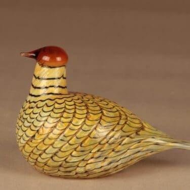 Nuutajärvi lintu Kesäriekko