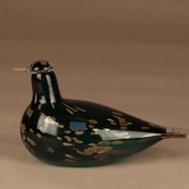 Nuutajärvi lintu Pekkasiini